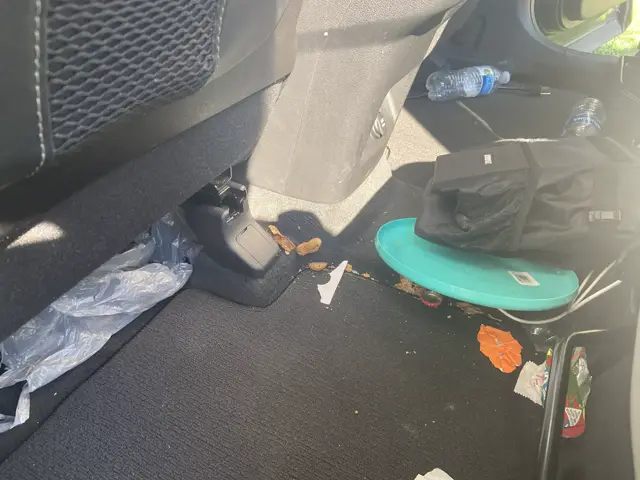 After detailing